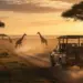 Ultimate Guide to VIP Safari Experiences in 2026